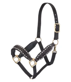 Hot Licol cuir Napi Licols En Cuir