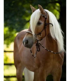 Clearance Licol de randonnée 3 en 1 Licols À Noeuds