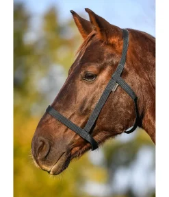 Discount Licol de sécurité Safety Licols Pour Poneys & Poulains|Licols De Sécurité