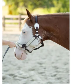 Outlet Licol de show Licols Synthétiques|Licols En Cuir