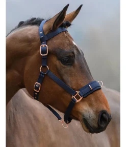 Hot Licol de travail Licols D'Entraînement