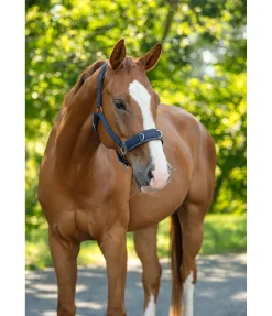 Sale Licol de travail Freedom Licols D'Entraînement|Licols Synthétiques