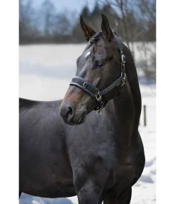 Outlet Licol de travail Freedom Licols D'Entraînement|Licols Synthétiques