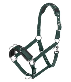 Sale Licol de travail Freedom Licols D'Entraînement|Licols Synthétiques