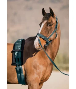 Sale Licol de travail Freedom Licols D'Entraînement|Licols Synthétiques