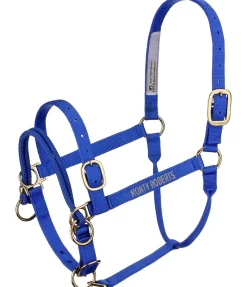 Clearance Licol Dually Licols Pour Poneys & Poulains|Licols D'Entraînement