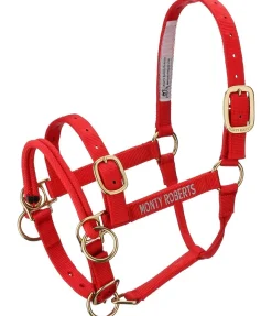 Discount Licol Dually Licols Pour Poneys & Poulains|Licols D'Entraînement