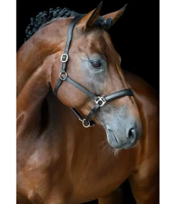 Best Licol en cuir Anatomical Licols En Cuir|Licols Synthétiques