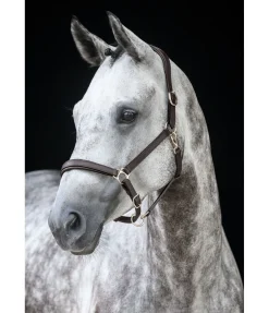 Outlet Licol en cuir Anatomical Licols En Cuir|Licols Synthétiques