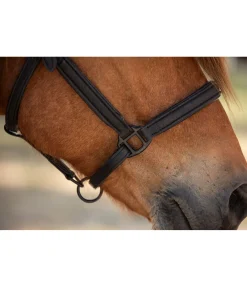 Hot Licol en cuir Blika Licols En Cuir