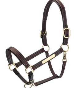 Best Licol en cuir Graveur Licols En Cuir