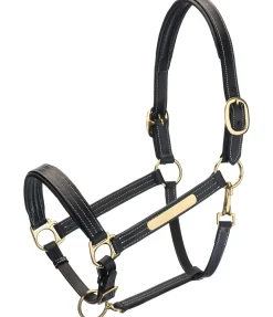 Discount Licol en cuir Graveur Licols En Cuir