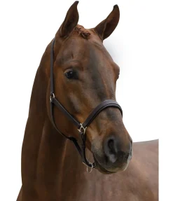 Discount Licol en cuir Siri Licols Pour Poneys & Poulains|Licols En Cuir