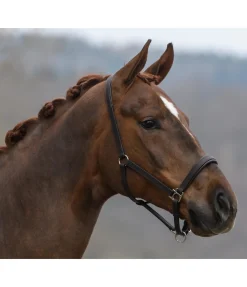 Discount Licol en cuir Siri Licols Pour Poneys & Poulains|Licols En Cuir