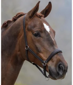 Discount Licol en cuir Siri Licols Pour Poneys & Poulains|Licols En Cuir