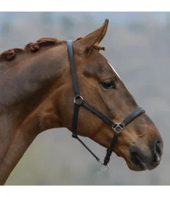 Outlet Licol en cuir Siri Licols Pour Poneys & Poulains|Licols En Cuir