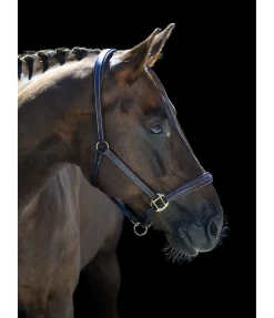 Sale Licol en cuir Stitch Licols Pour Poneys & Poulains|Licols En Cuir