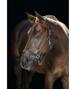 New Licol en cuir Stitch Licols Pour Poneys & Poulains|Licols En Cuir