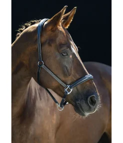 New Licol en cuir Stitch Licols Pour Poneys & Poulains|Licols En Cuir