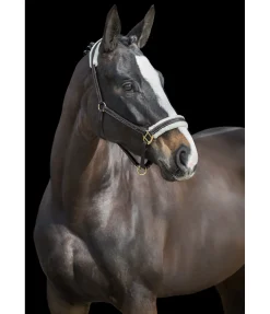 Sale Licol en cuir avec polaire Teddy Stitch Fourrure D'Agneau|Licols Pour Poneys & Poulains