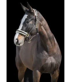 Sale Licol en cuir avec polaire Teddy Stitch Fourrure D'Agneau|Licols Pour Poneys & Poulains