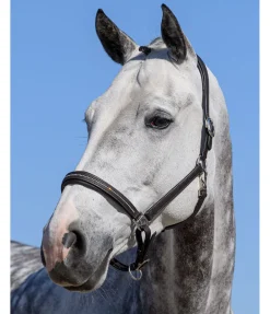 Hot Licol en cuir orné de strass Selina Licols En Cuir