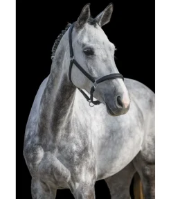 Hot Licol en cuir synthétique SYLKA Animal Friendly Licols Pour Poneys & Poulains|Licols Synthétiques