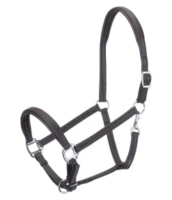 Best Licol en cuir synthétique SYLKA Animal Friendly Licols Pour Poneys & Poulains|Licols Synthétiques