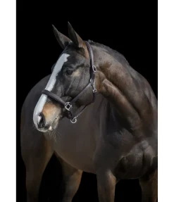 Best Licol en cuir synthétique SYLKA Animal Friendly Licols Pour Poneys & Poulains|Licols Synthétiques