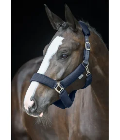 Online Licol en mesh Airflow Licols Synthétiques