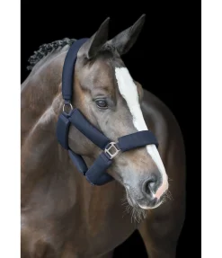 Online Licol en mesh Airflow Licols Synthétiques