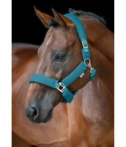 New Licol en mesh Airflow Licols Synthétiques