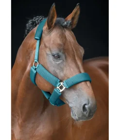 New Licol en mesh Airflow Licols Synthétiques