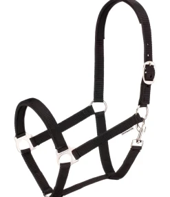 Licol en nylon à prix cassé II Licols Pour Poneys & Poulains|Licols Synthétiques