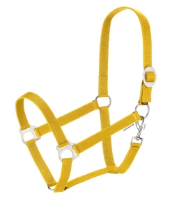 Discount Licol en nylon à prix cassé Licols Pour Poneys & Poulains|Licols Synthétiques