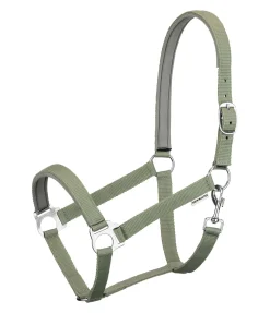 Licol en nylon à prix cassé II Licols Pour Poneys & Poulains|Licols Synthétiques