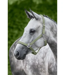 Licol en nylon à prix cassé II Licols Pour Poneys & Poulains|Licols Synthétiques