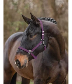 Hot Licol en nylon à prix cassé II Licols Pour Poneys & Poulains|Licols Synthétiques