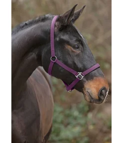 Hot Licol en nylon à prix cassé II Licols Pour Poneys & Poulains|Licols Synthétiques