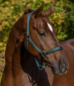 Licol en nylon à prix cassé II Licols Pour Poneys & Poulains|Licols Synthétiques