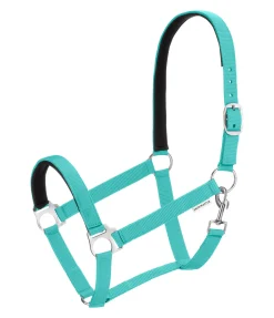 Licol en nylon à prix cassé II Licols Pour Poneys & Poulains|Licols Synthétiques