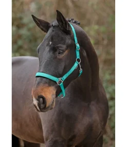 Licol en nylon à prix cassé II Licols Pour Poneys & Poulains|Licols Synthétiques