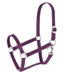 Outlet Licol en nylon à prix cassé Licols Pour Poneys & Poulains|Licols Synthétiques