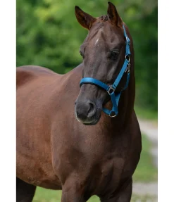 Clearance Licol en nylon à prix cassé II Licols Pour Poneys & Poulains|Licols Synthétiques