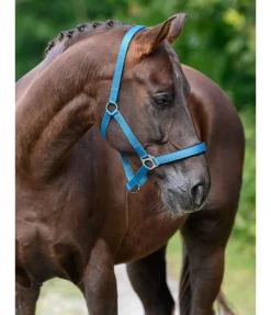 Clearance Licol en nylon à prix cassé II Licols Pour Poneys & Poulains|Licols Synthétiques