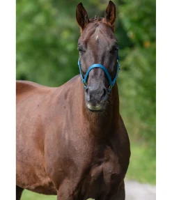 Hot Licol en nylon à prix cassé Licols Pour Poneys & Poulains|Licols Synthétiques