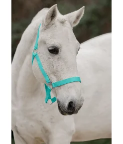 Online Licol en nylon à prix cassé Licols Pour Poneys & Poulains|Licols Synthétiques