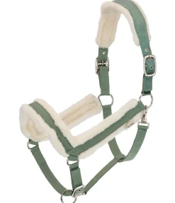 Discount Licol en polaire Teddy Anatomical Relaxation Licols Synthétiques