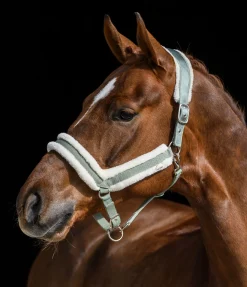 Discount Licol en polaire Teddy Anatomical Relaxation Licols Synthétiques