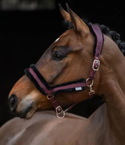 New Licol en polaire Teddy Anatomical Relaxation Licols Synthétiques